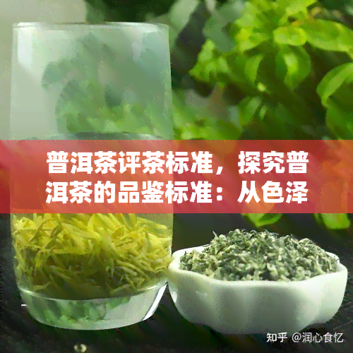 普洱茶评茶标准，探究普洱茶的品鉴标准：从色泽、香气到口感的全方位评价