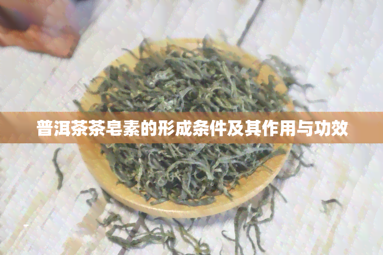 普洱茶茶皂素的形成条件及其作用与功效