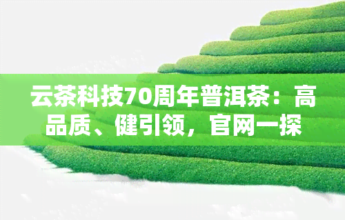 云茶科技70周年普洱茶：高品质、健引领，官网一探究竟