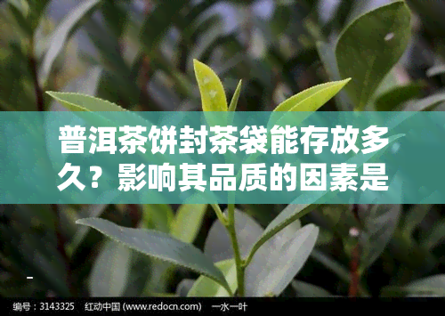 普洱茶饼封茶袋能存放多久？影响其品质的因素是什么？