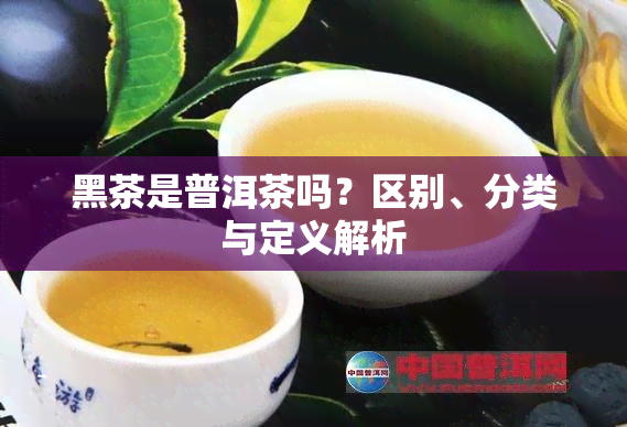 黑茶是普洱茶吗？区别、分类与定义解析