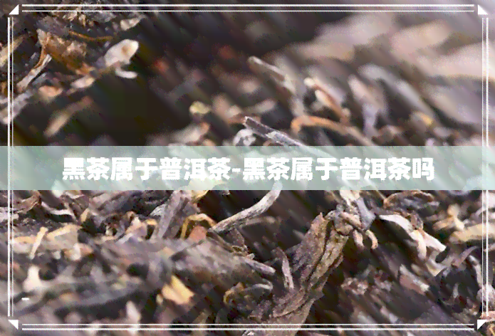 黑茶属于普洱茶-黑茶属于普洱茶吗