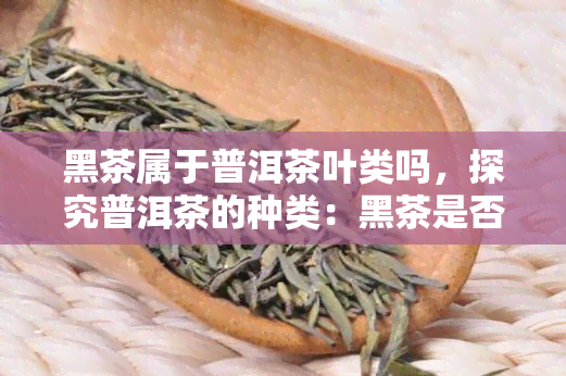 黑茶属于普洱茶叶类吗，探究普洱茶的种类：黑茶是否属于其中？