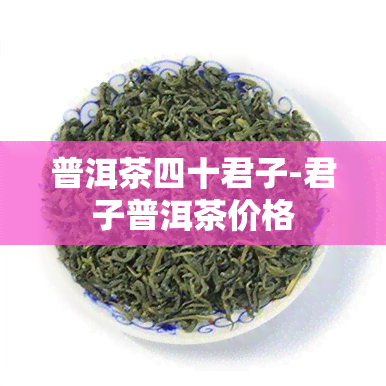 普洱茶四十君子-君子普洱茶价格