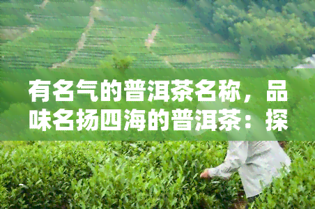 有名气的普洱茶名称，品味名扬四海的普洱茶：探寻中国茶叶文化的瑰宝