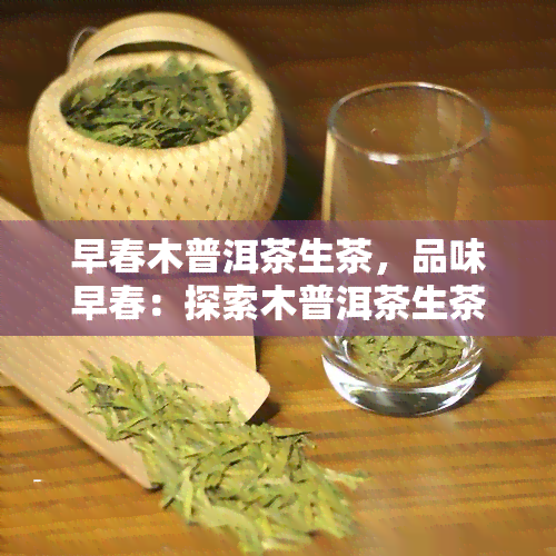 早春木普洱茶生茶，品味早春：探索木普洱茶生茶的魅力