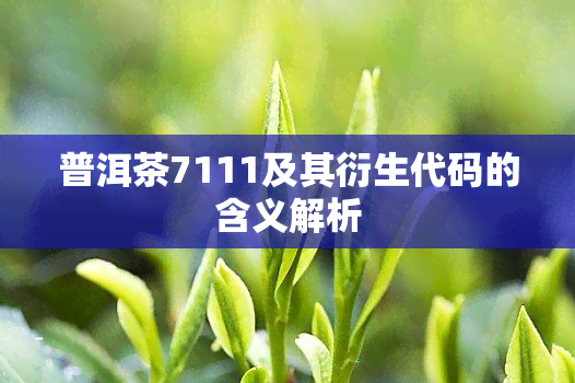 普洱茶7111及其衍生代码的含义解析