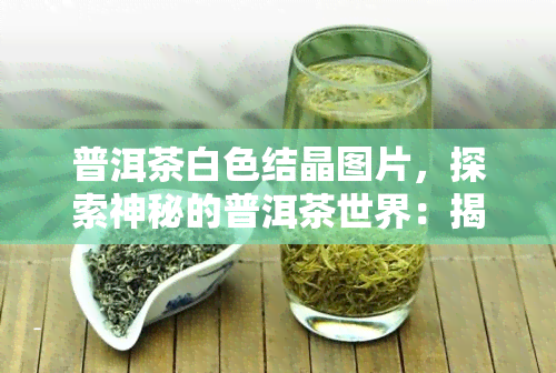 普洱茶白色结晶图片，探索神秘的普洱茶世界：揭开白色结晶的面纱！