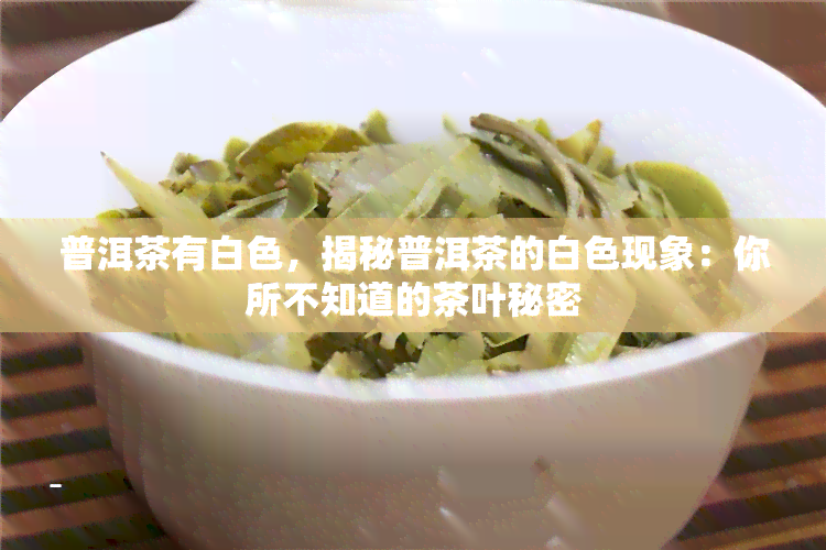 普洱茶有白色，揭秘普洱茶的白色现象：你所不知道的茶叶秘密