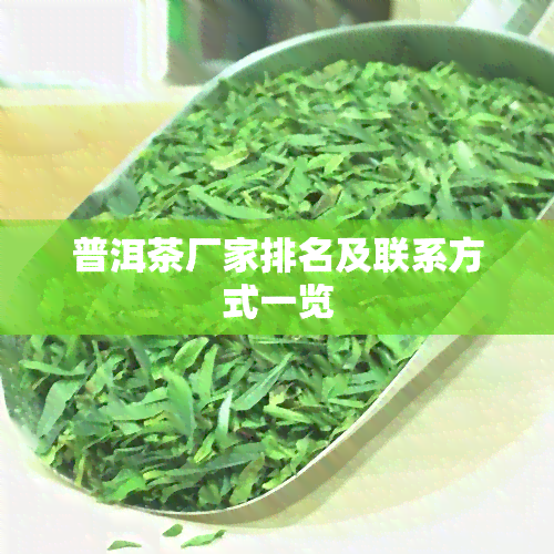 普洱茶厂家排名及联系方式一览