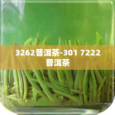 3262普洱茶-301 7222普洱茶