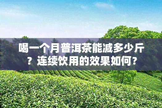 喝一个月普洱茶能减多少斤？连续饮用的效果如何？