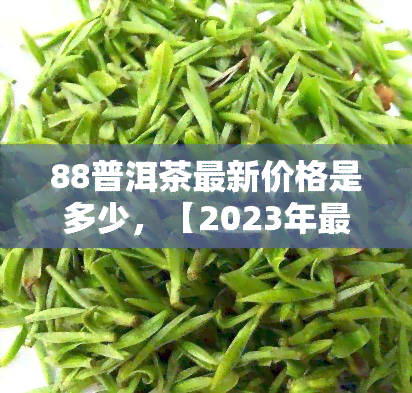 88普洱茶最新价格是多少，【2023年最新】88普洱茶市场价格行情一览