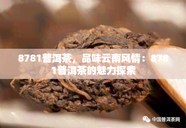 8781普洱茶，品味云南风情：8781普洱茶的魅力探索