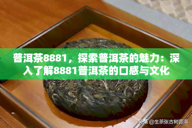 普洱茶8881，探索普洱茶的魅力：深入了解8881普洱茶的口感与文化