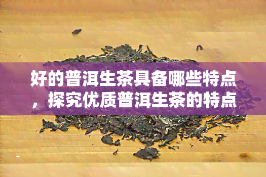 好的普洱生茶具备哪些特点，探究优质普洱生茶的特点与魅力