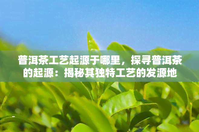 普洱茶工艺起源于哪里，探寻普洱茶的起源：揭秘其独特工艺的发源地