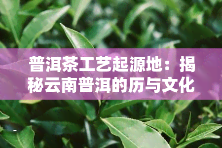 普洱茶工艺起源地：揭秘云南普洱的历与文化