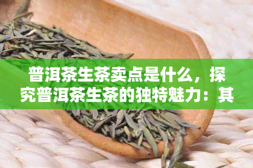 普洱茶生茶卖点是什么，探究普洱茶生茶的独特魅力：其主要卖点是什么？