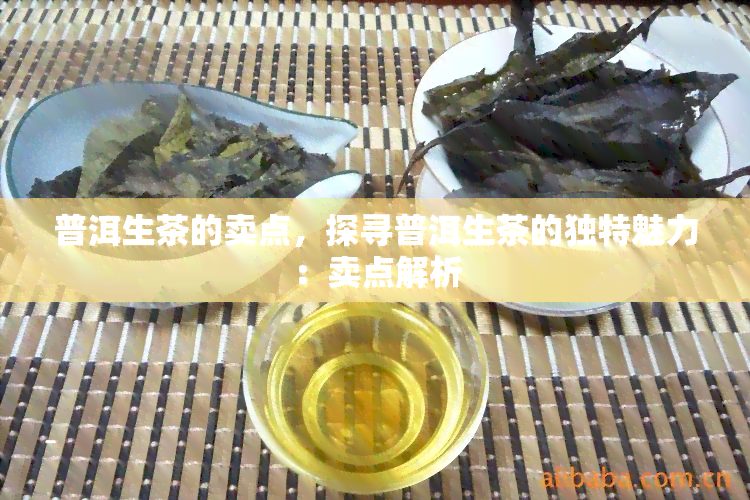 普洱生茶的卖点，探寻普洱生茶的独特魅力：卖点解析