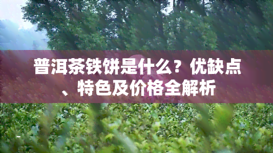 普洱茶铁饼是什么？优缺点、特色及价格全解析