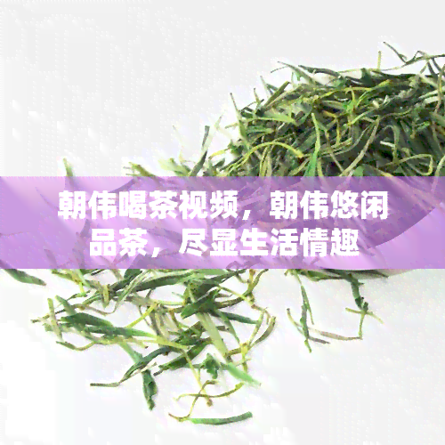 朝伟喝茶视频，朝伟悠闲品茶，尽显生活情趣