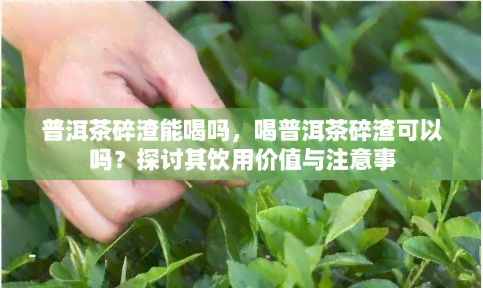 普洱茶碎渣能喝吗，喝普洱茶碎渣可以吗？探讨其饮用价值与注意事