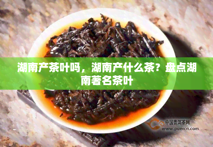 湖南产茶叶吗，湖南产什么茶？盘点湖南著名茶叶