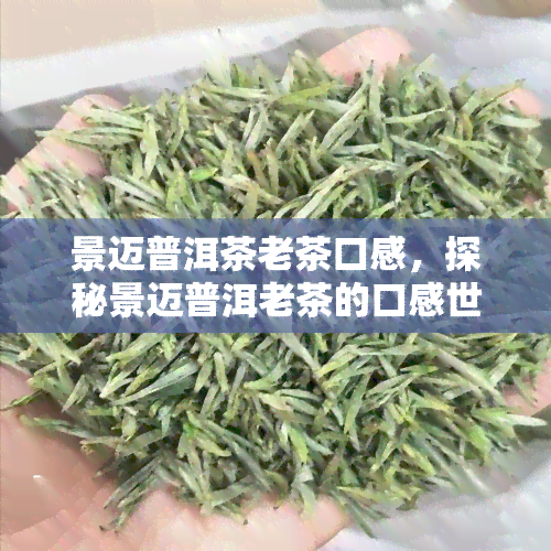 景迈普洱茶老茶口感，探秘景迈普洱老茶的口感世界