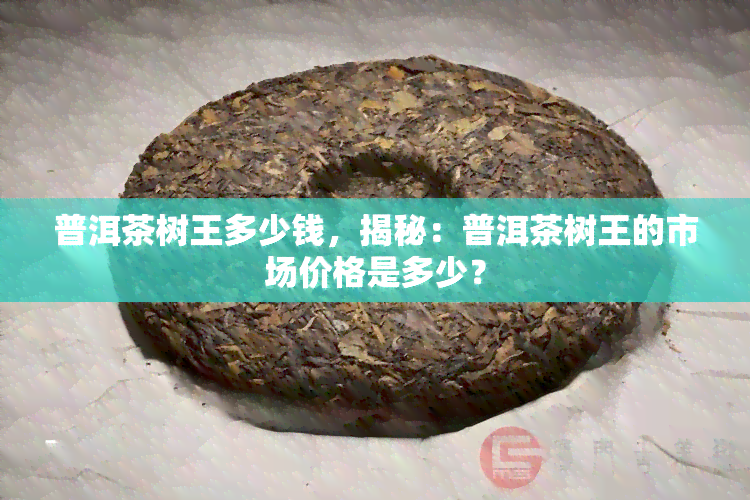 普洱茶树王多少钱，揭秘：普洱茶树王的市场价格是多少？