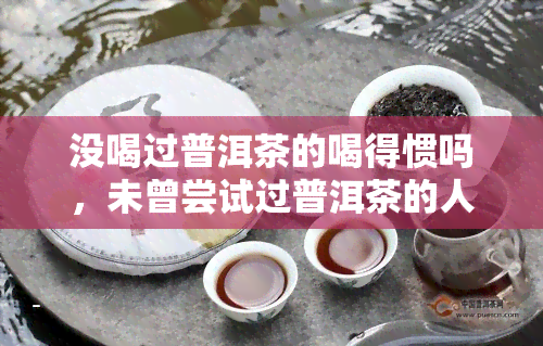 没喝过普洱茶的喝得惯吗，未曾尝试过普洱茶的人，是否也能喜欢上这种独特的口感呢？