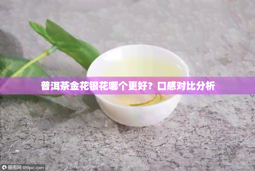 普洱茶金花银花哪个更好？口感对比分析