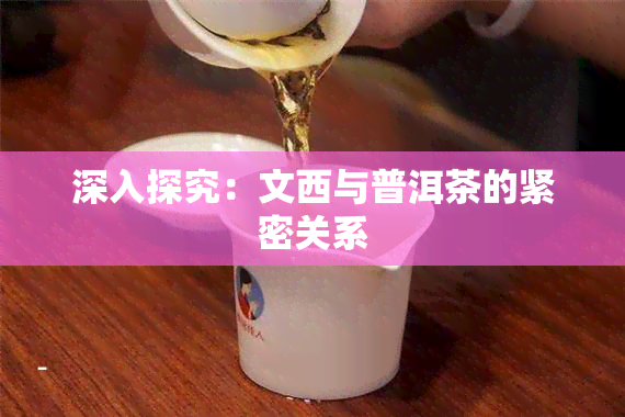 深入探究：文西与普洱茶的紧密关系