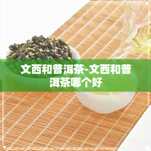 文西和普洱茶-文西和普洱茶哪个好