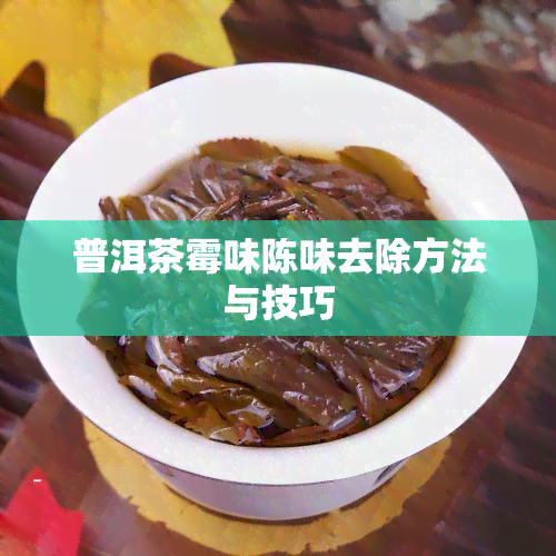 普洱茶霉味陈味去除方法与技巧