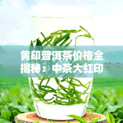 黄印普洱茶价格全揭秘：中茶大红印多少钱一饼？