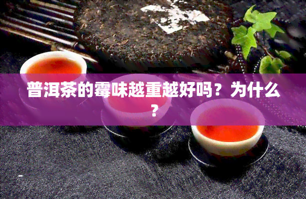 普洱茶的霉味越重越好吗？为什么？