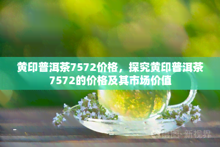 黄印普洱茶7572价格，探究黄印普洱茶7572的价格及其市场价值