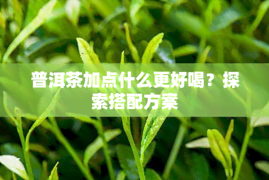 普洱茶加点什么更好喝？探索搭配方案