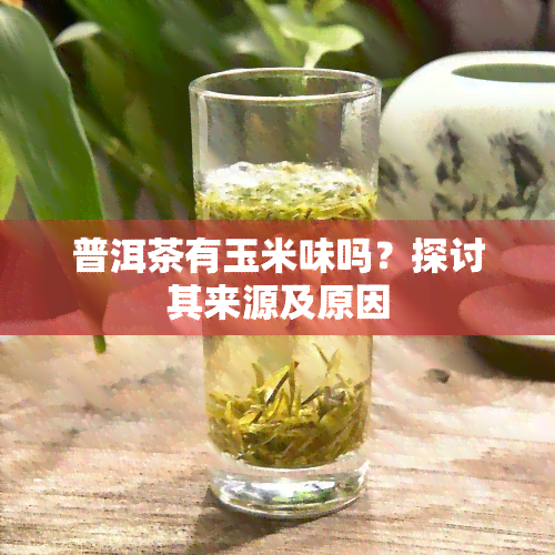 普洱茶有玉米味吗？探讨其来源及原因