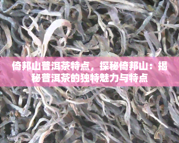 倚邦山普洱茶特点，探秘倚邦山：揭秘普洱茶的独特魅力与特点