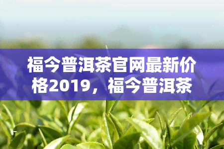 福今普洱茶官网最新价格2019，福今普洱茶官网2019年最新价格一览