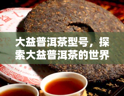 大益普洱茶型号，探索大益普洱茶的世界：了解不同型号的特点和魅力