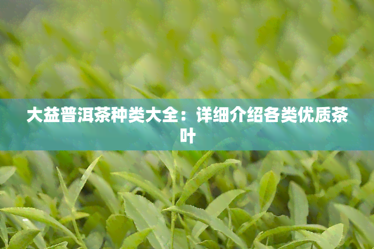 大益普洱茶种类大全：详细介绍各类优质茶叶