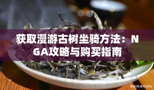 获取漫游古树坐骑方法：NGA攻略与购买指南