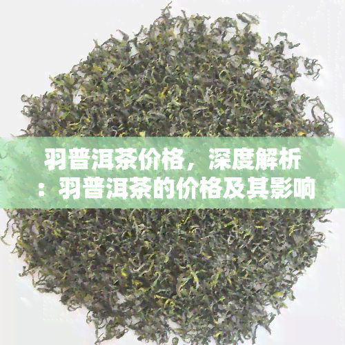 羽普洱茶价格，深度解析：羽普洱茶的价格及其影响因素