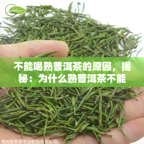 不能喝熟普洱茶的原因，揭秘：为什么熟普洱茶不能喝？