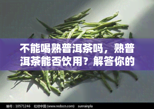 不能喝熟普洱茶吗，熟普洱茶能否饮用？解答你的疑问