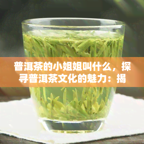 普洱茶的 *** 姐叫什么，探寻普洱茶文化的魅力：揭秘普洱茶 *** 姐的真实身份