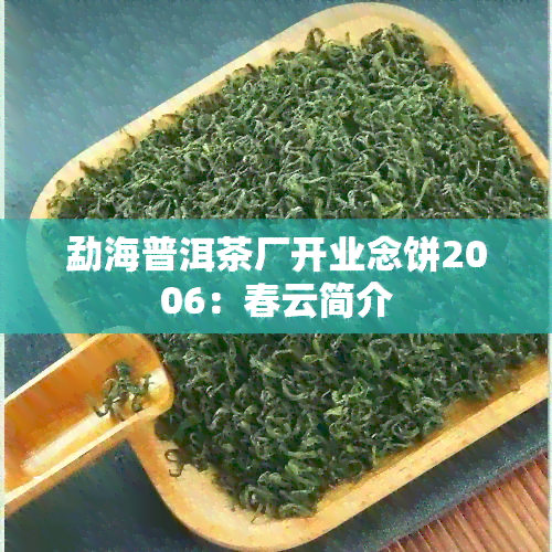 勐海普洱茶厂开业念饼2006：春云简介